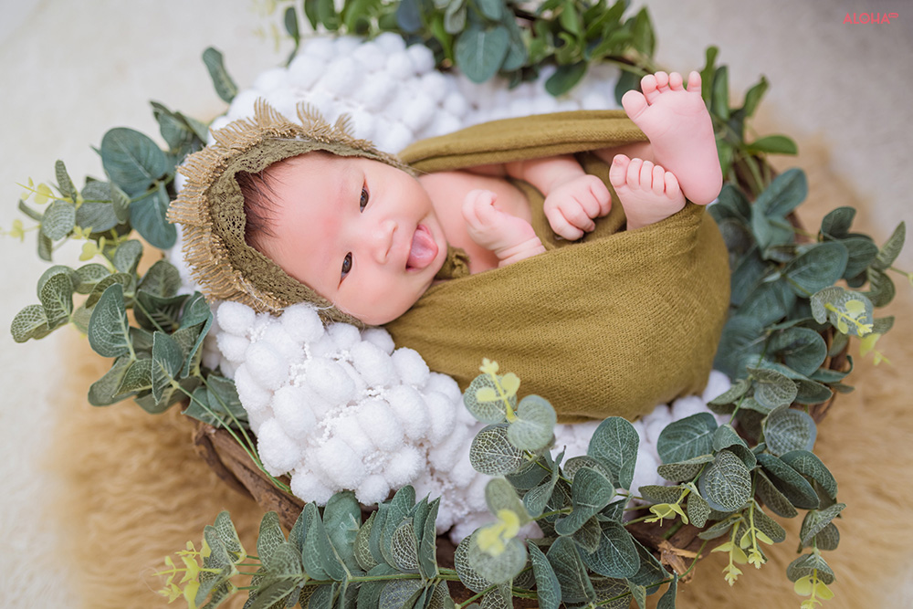 album ảnh newborn 14